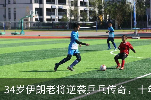 34岁伊朗老将逆袭乒乓传奇，十年磨一剑！